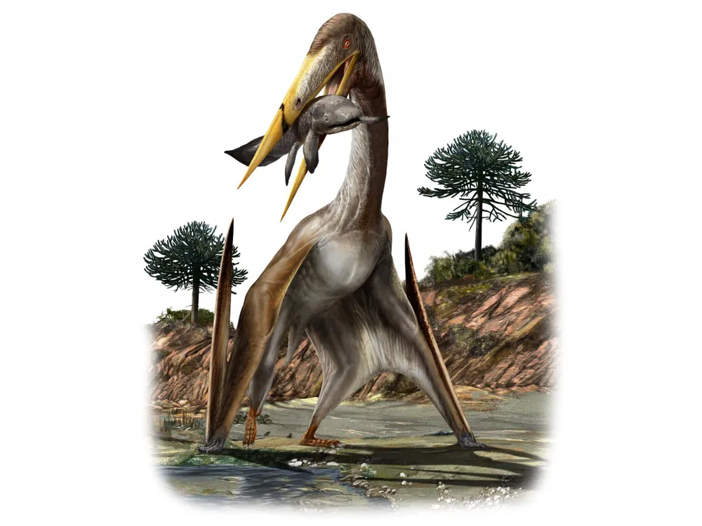 An illustration shows a pterosaur standing in water holding a large fish in its beak