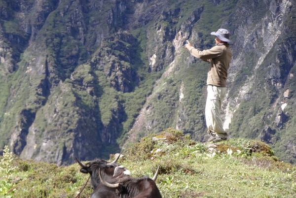 Photographer with Yak thumbnail