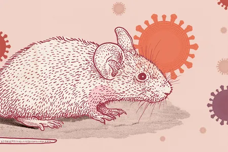 The Covid-19 pandemic has skyrocketed the demand for new strains of mice to help scientists understand the progression of the disease, test existing drugs, find new therapeutic targets and develop vaccines. 