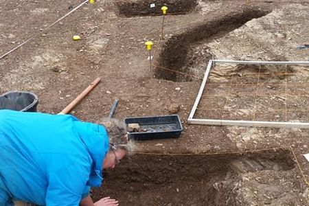 A cow skull being unearthed at the Ipplepen site.