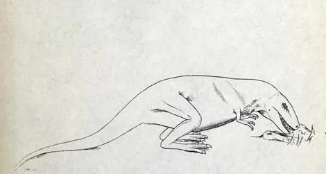 Gorgosaurus as envisioned by Lambe