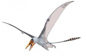 20110520083235pterosaur-Sordes-300x197.jpg