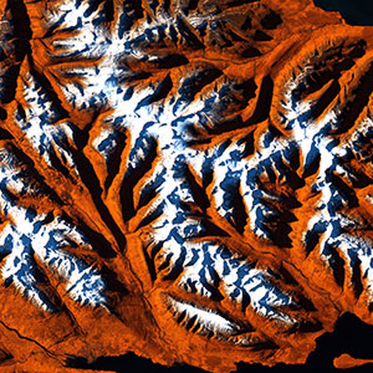 正規激安 Earth-as-Art-Icelandic-Tiger- 芸術写真