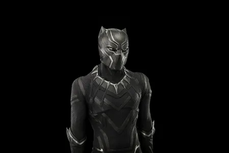 The costume worn by Chadwick Boseman's Black Panther during his Marvel Studios debut (2016's Captain America: Civil War), from the collection of the National Museum of African American History and Culture.
