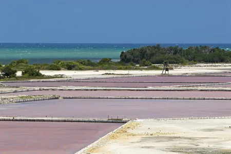 Las Salinas in Cabo Rojo National Wildlife Refuge