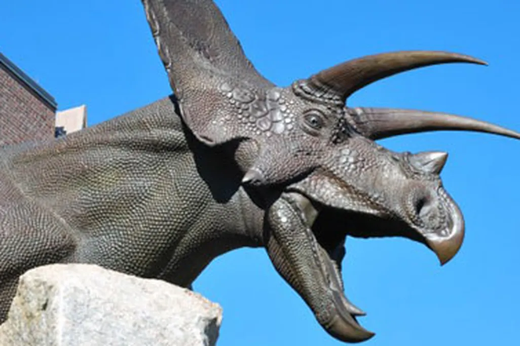 A sculpture of Torosaurus