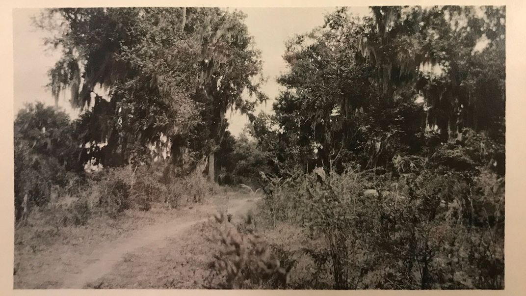 A dirt trail curving through dense greenery. Black-and-white photo.