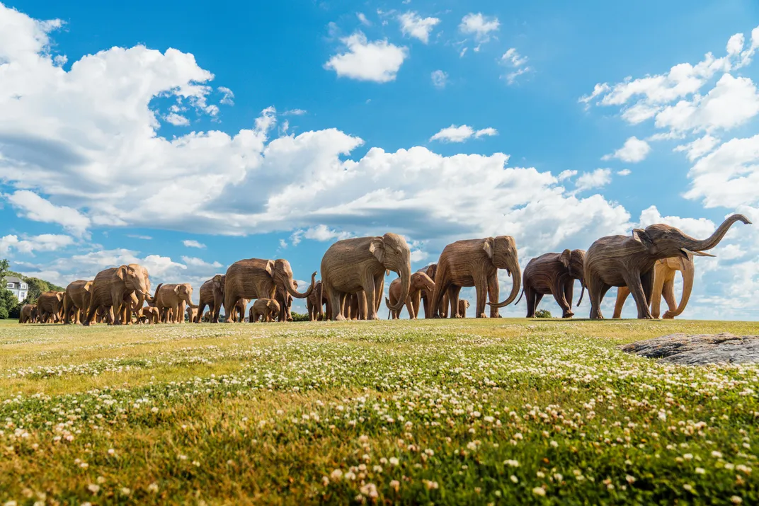 Elephant sculptures lined up in the grass