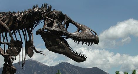 Wankel’s Rex