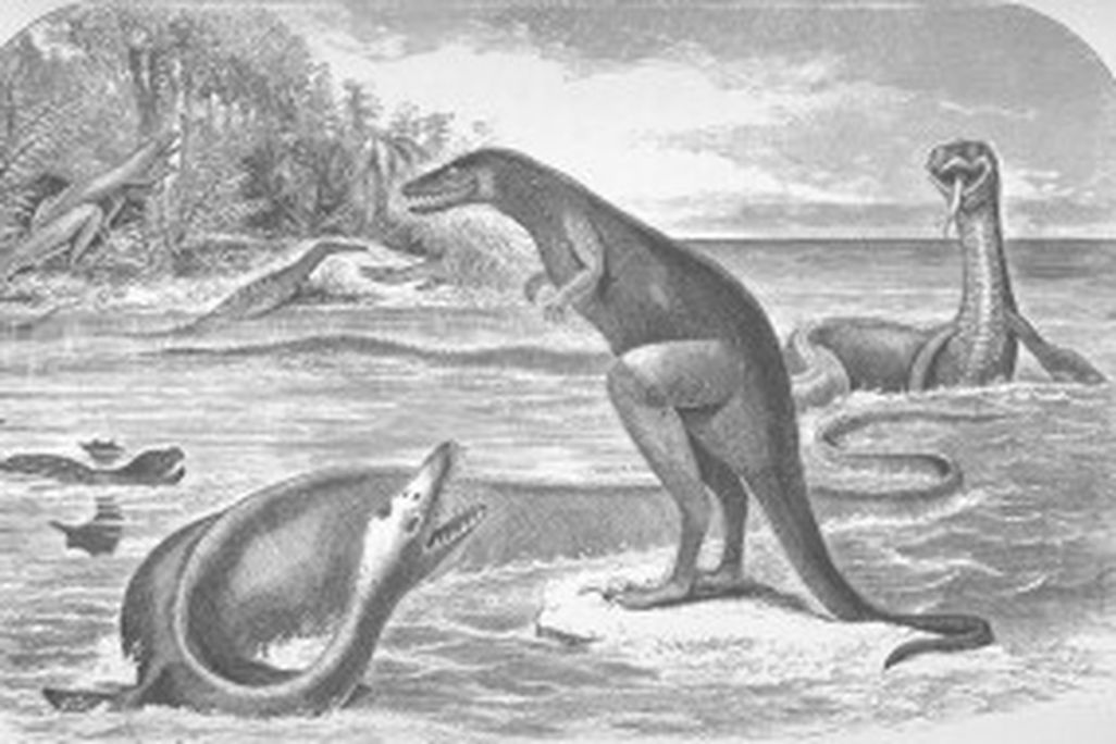 20110520083219dryptosaurus-cope-300x190.jpg