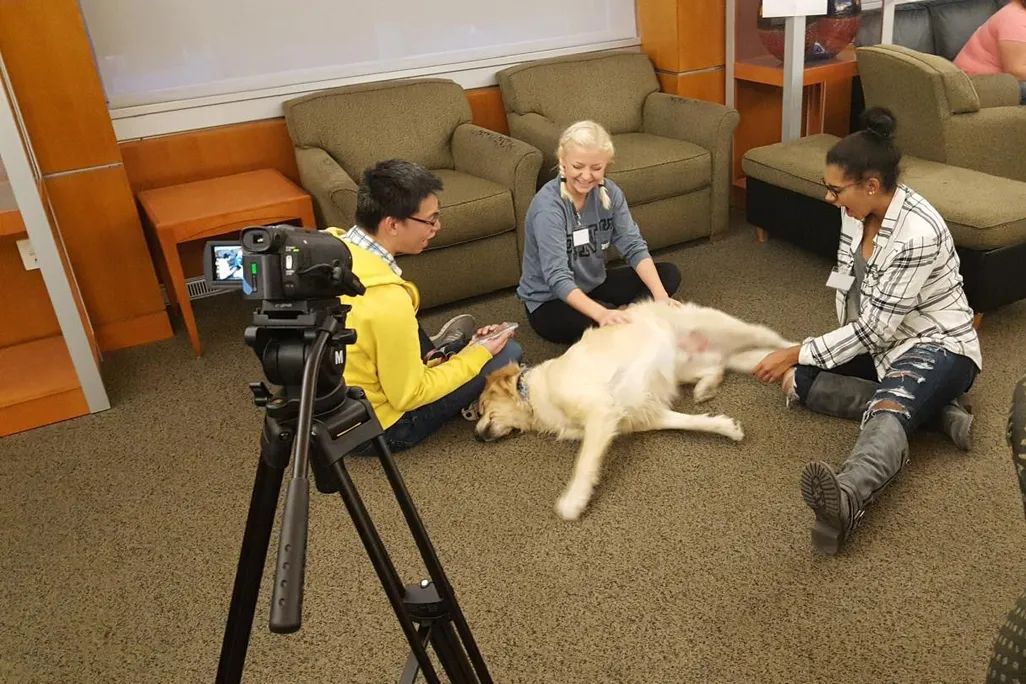 A photo of three adults sitting around a yellow labrador retreiver. The adults are petting and interacting with the dog while it lays on its side. Towards the left of the photo there is a camera recording the interaction.  