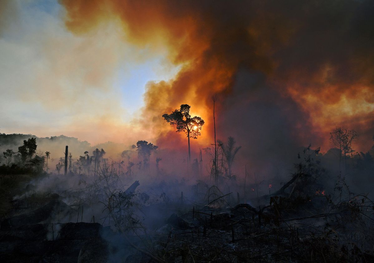 www.smithsonianmag.com