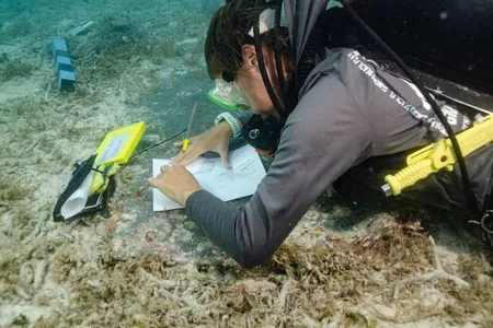 A diver takes a rubbing of John Greer&rsquo;s gravestone underwater at Dry Tortugas National Park.