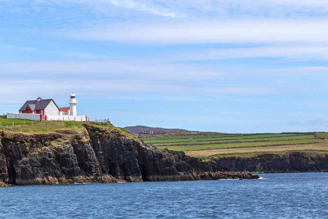 A Dolphin Has Been Living Solo in This Irish Harbor for Decades