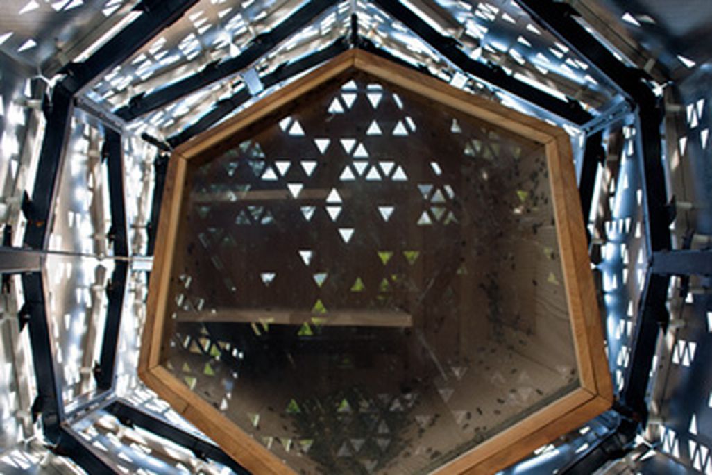 Looking up into a skyscraper for bees, designed by students at the University of Buffalo