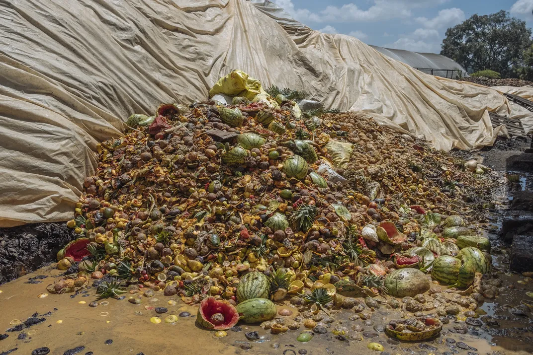 Piles of rotting fruit at the InsectiPro farm in Kenya. The black soldier fly larvae will feed on this waste, turning it into high-quality insect protein.