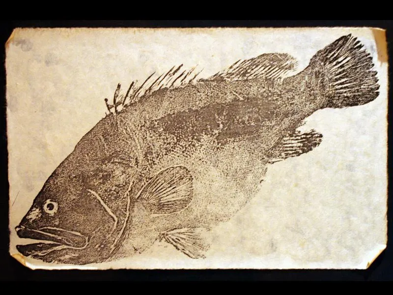 Gyotaku fish print