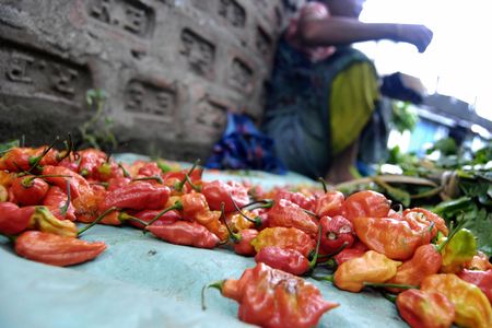 A vendor displays chili peppers at a local market in India.&nbsp;