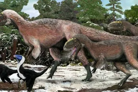 The skull of Yutyrannus