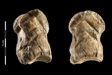 The bone carving shows a deliberate pattern.