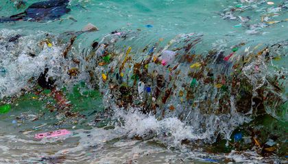 Human Pathogens Are Hitching a Ride on Floating Plastic