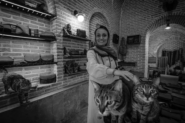 Human - Animal - Work thumbnail