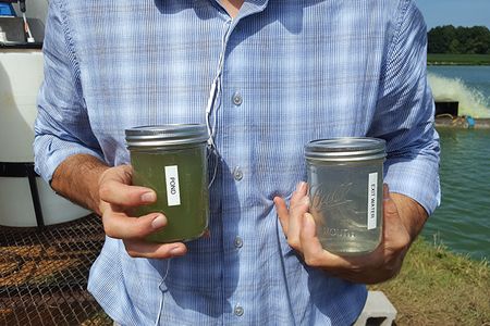 Bloom's mobile harvester collects algae biomass from waste streams in the United States and Asia.