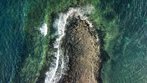 Atlantic Reef at Playa del Muellito thumbnail