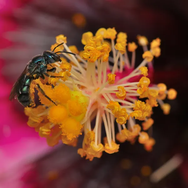 Win-win situation thumbnail