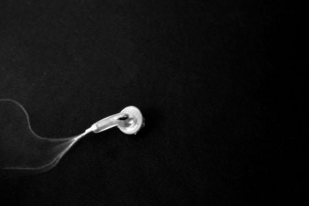 iPods and sperm, America’s favorite exports.