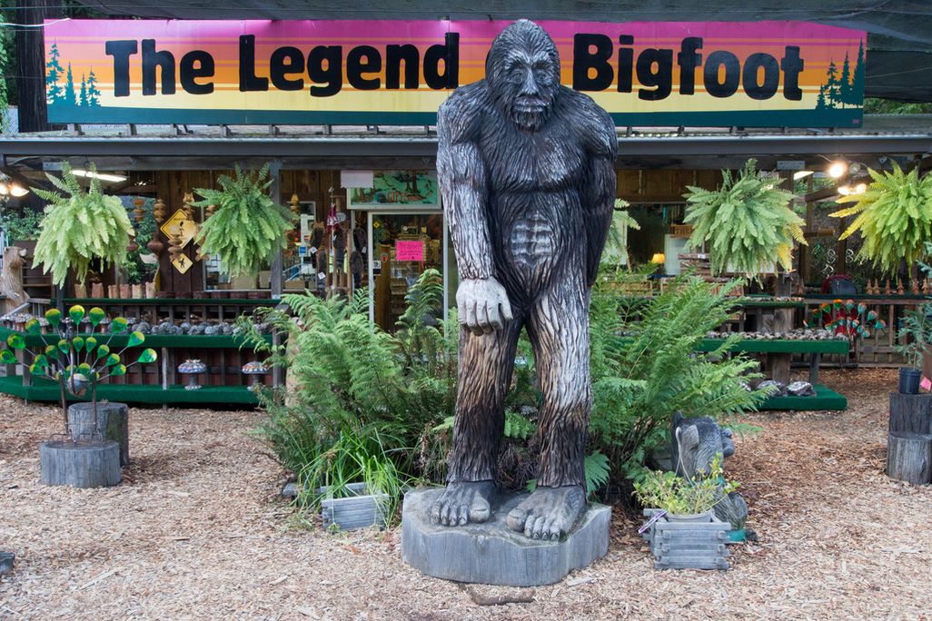 Bigfoot