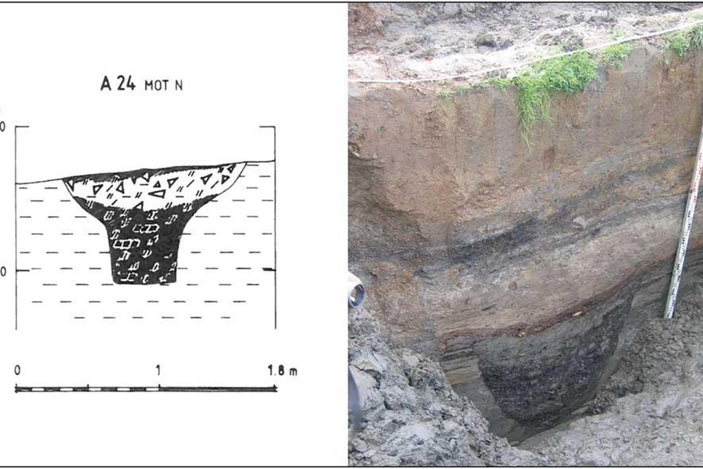 Viking Tar Pit