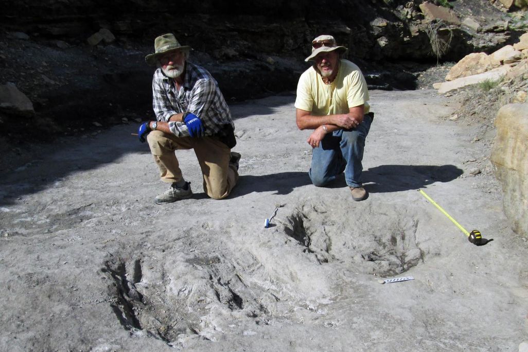 dino tracks