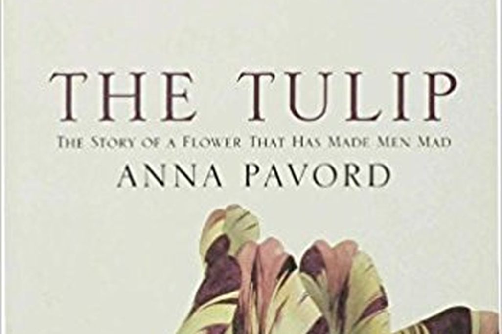 The Tulip: The Story of the Flower That Has Made Men Mad