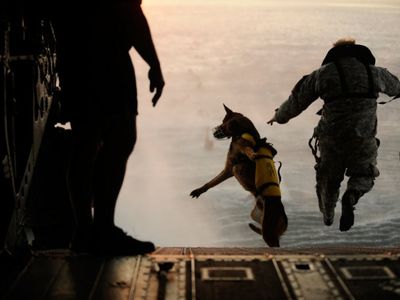 A U.S. Army soldier with the 10th Special Forces Group and his military working dog jump off the ramp of a CH-47 Chinook helicopter during water training over the Gulf of Mexico, March 2011.