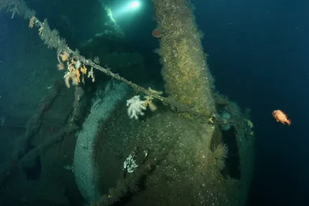 Divers observed the HMS Hawke's intact guns at the bottom of the North Sea.
