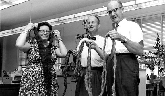 Smithsonian anthropologists hold up the world’s longest beard after it was donated to the National Museum of Natural History in 1967. (Smithsonian)