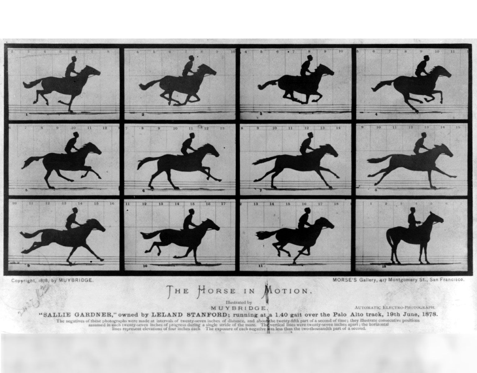How a 19th-Century Photographer Made the First 'GIF' of a Galloping Horse |  At the Smithsonian| Smithsonian Magazine
