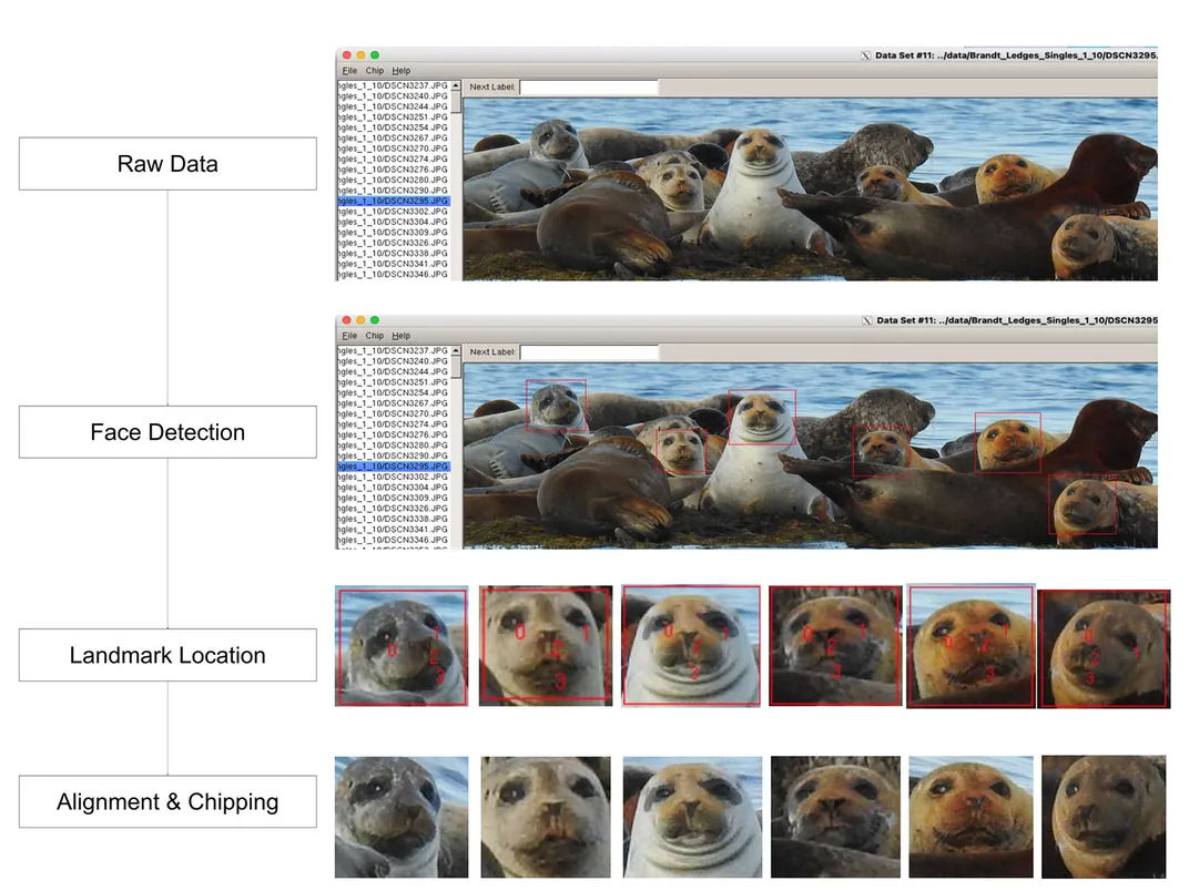 Facial Recognition Software for Seals