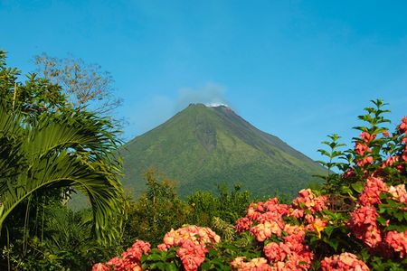 Costa Rica's Guanacaste region is among the country's many beautiful ecological zones—and the waste from local juice company is helping keep it that way.
