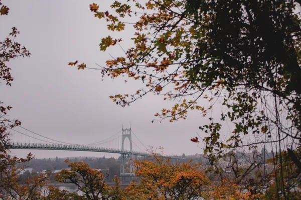 St. John's Bridge in early Autumn thumbnail