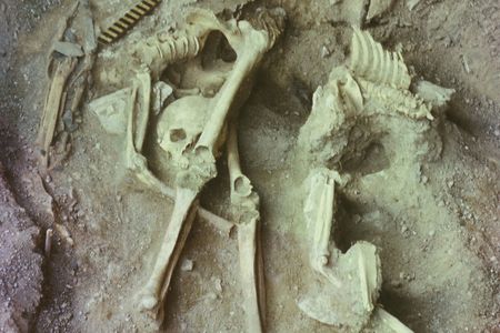 A grave with bones that were analyzed