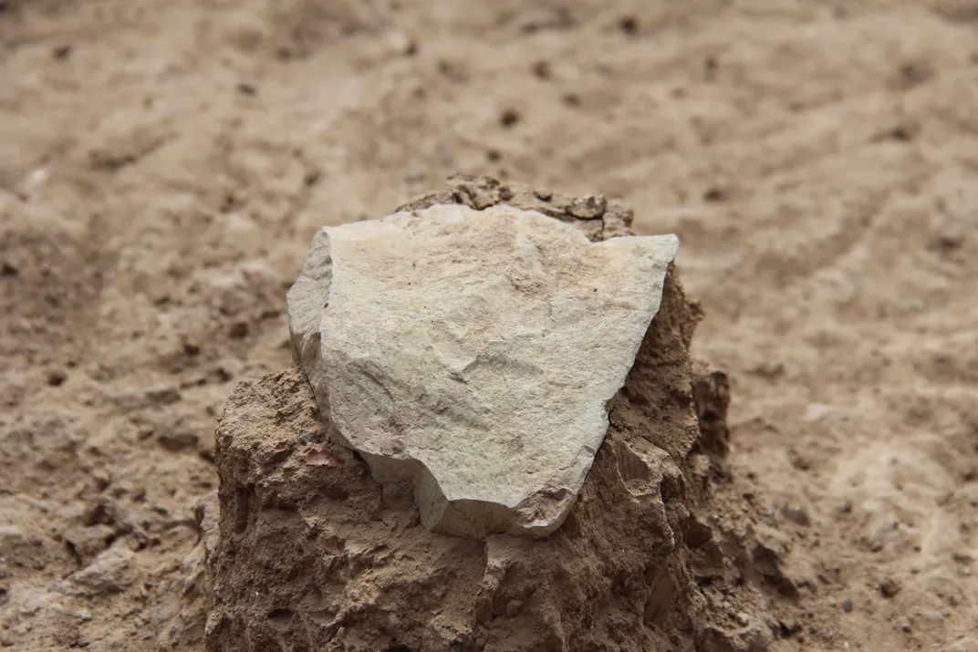 Stone tools put early hominids in China 2.1 million years ago