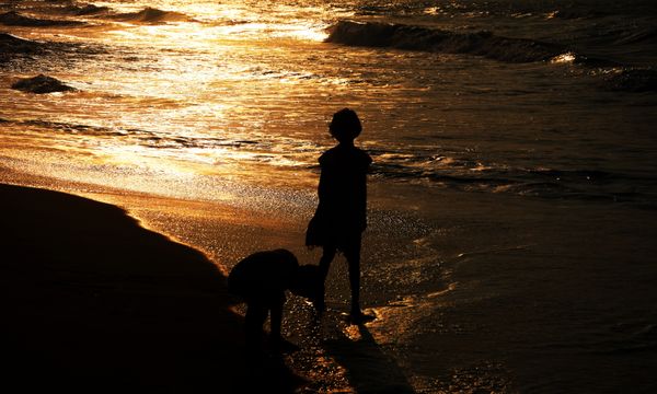 SIBLINGS & SEASHELLS thumbnail