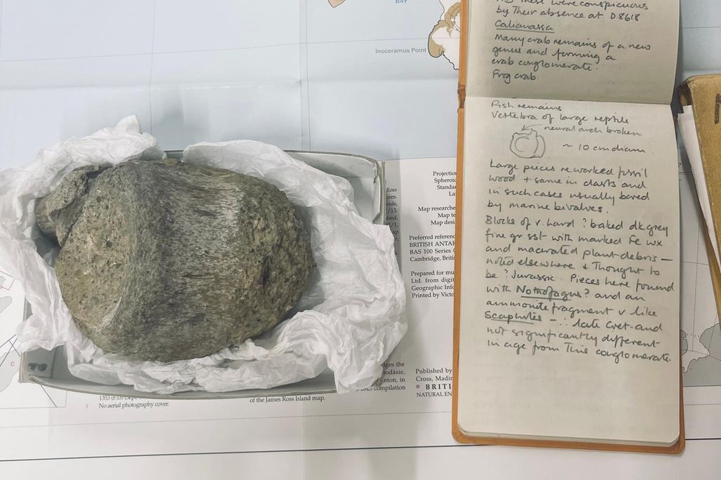 round fossil next to an old field notebook on top of a paper map