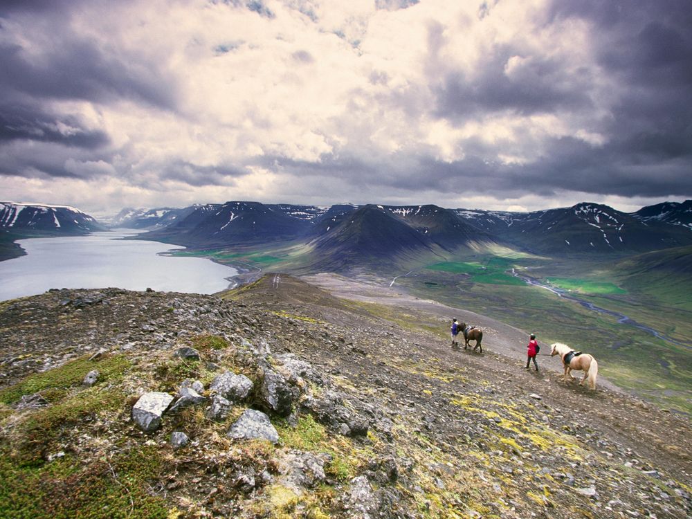 horseback riders incredible vista iceland