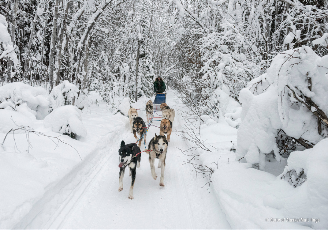 Plot Your Course: 8 Ways to Explore Alaska