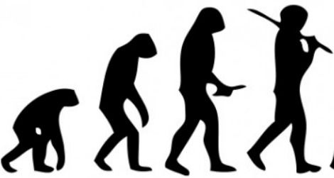 Human-evolution-470.jpg