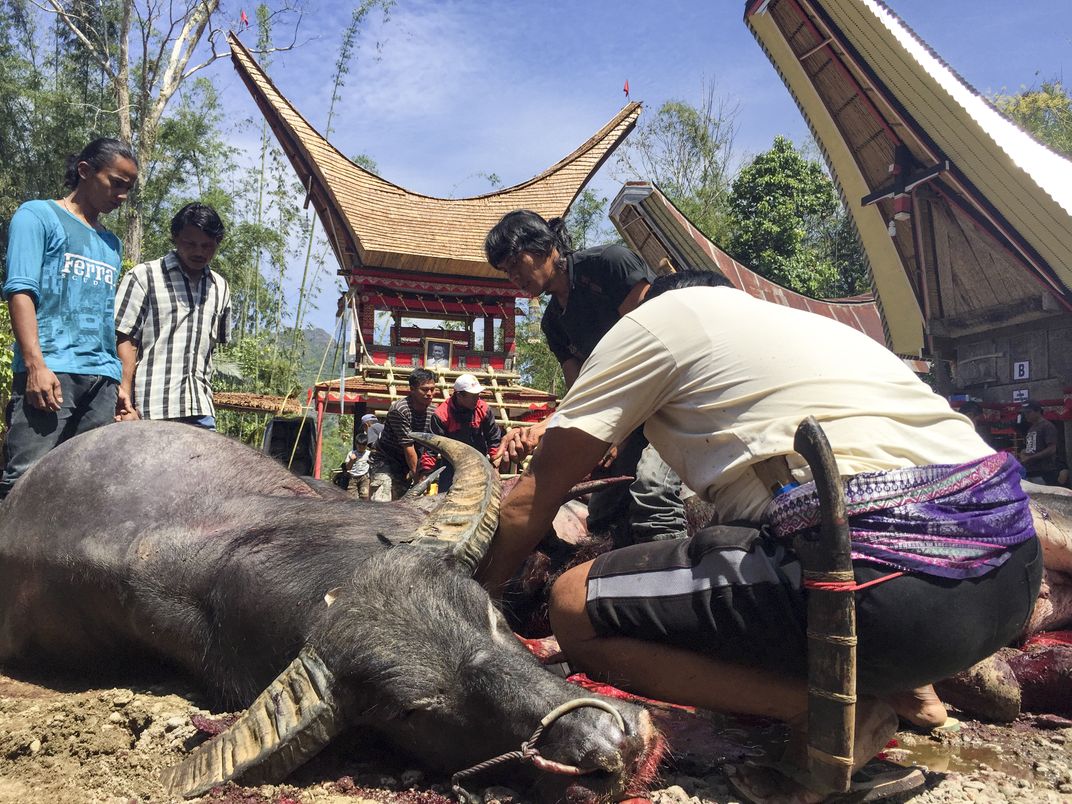 Rambu Solo Toraja | Smithsonian Photo Contest | Smithsonian Magazine