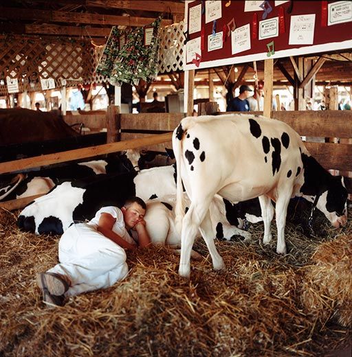 Delaware County Fair 2005